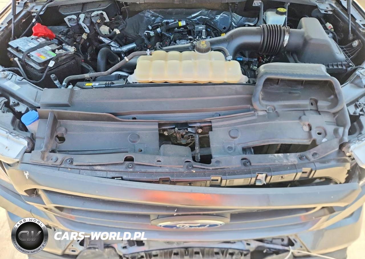 2021 Ford F150 Supercrew VIN:1FTEW1CP3MFC28807 - 11