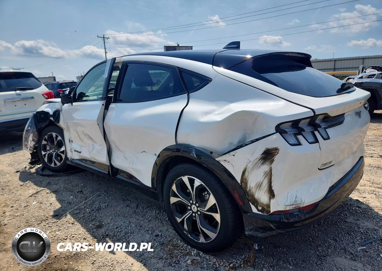 2021 Ford Mustang Mach-E Premium VIN:3FMTK3SU2MMA26087 - 2