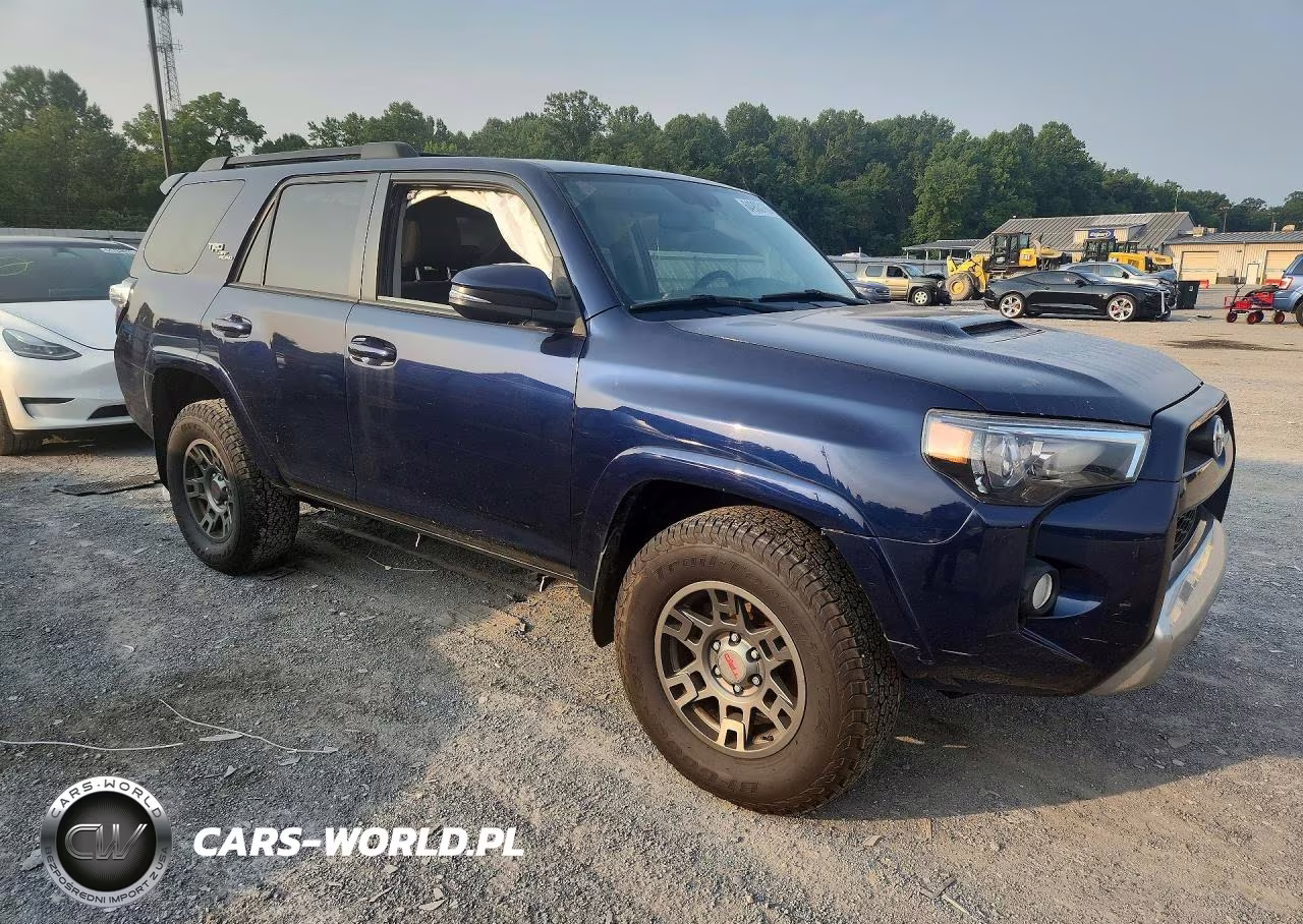 2019 Toyota 4Runner Trd Off-Road Premium VIN:JTEBU5JR8K5719506 - 4
