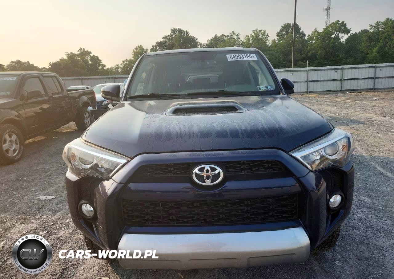 2019 Toyota 4Runner Trd Off-Road Premium VIN:JTEBU5JR8K5719506 - 5
