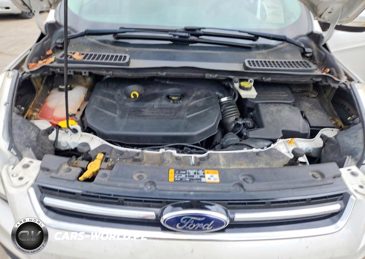 2013 Ford Escape Sel VIN:1FMCU9H92DUB61081 - 12