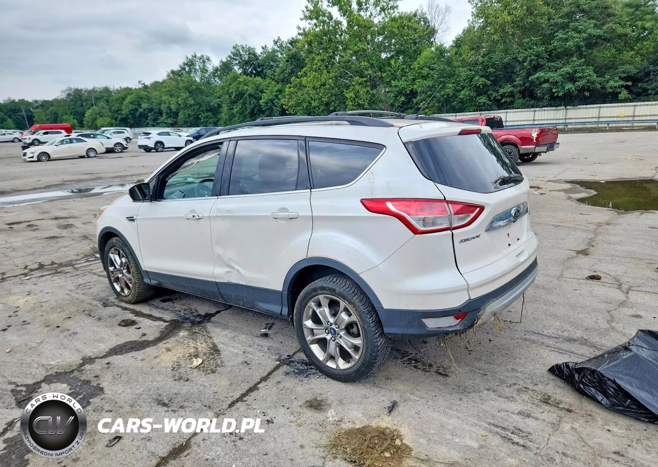 2013 Ford Escape Sel VIN:1FMCU9H92DUB61081 - 2