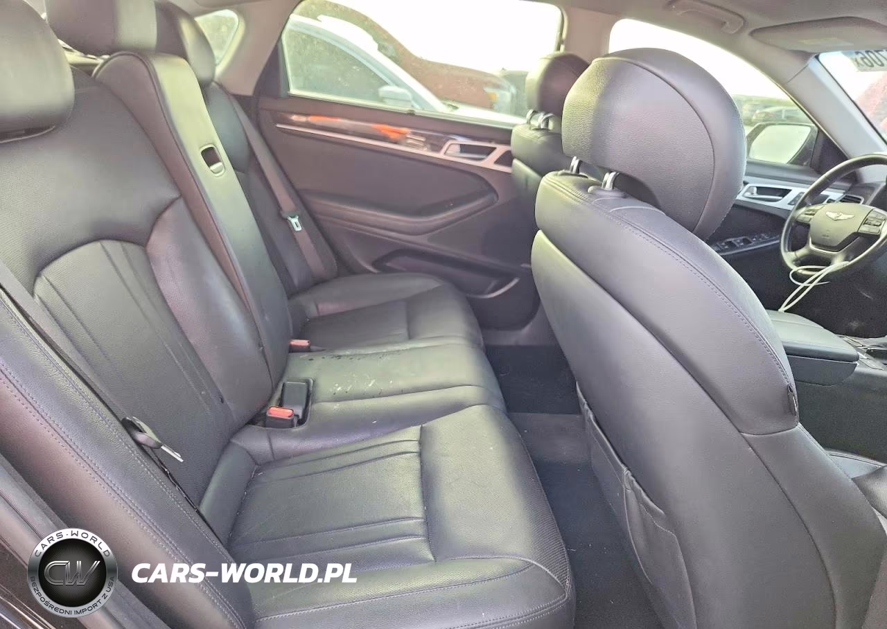 2016 Hyundai Genesis 3.8L VIN:KMHGN4JE2GU112430 - 10