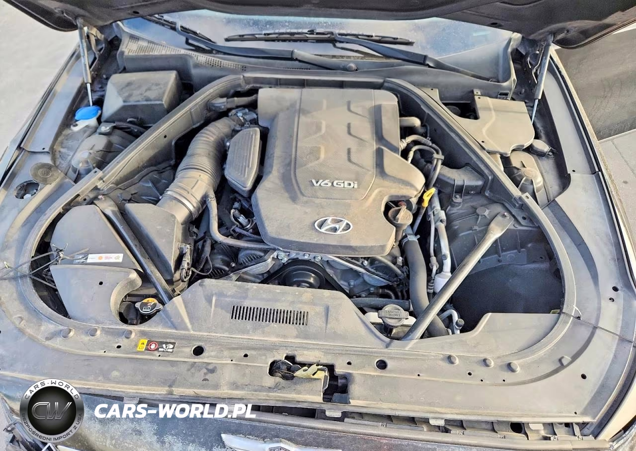 2016 Hyundai Genesis 3.8L VIN:KMHGN4JE2GU112430 - 11