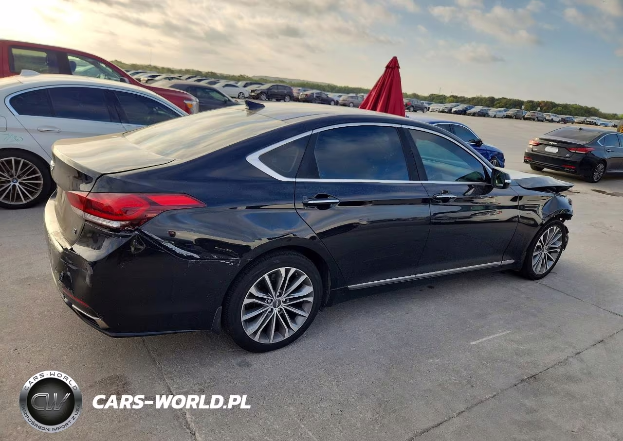 2016 Hyundai Genesis 3.8L VIN:KMHGN4JE2GU112430 - 3