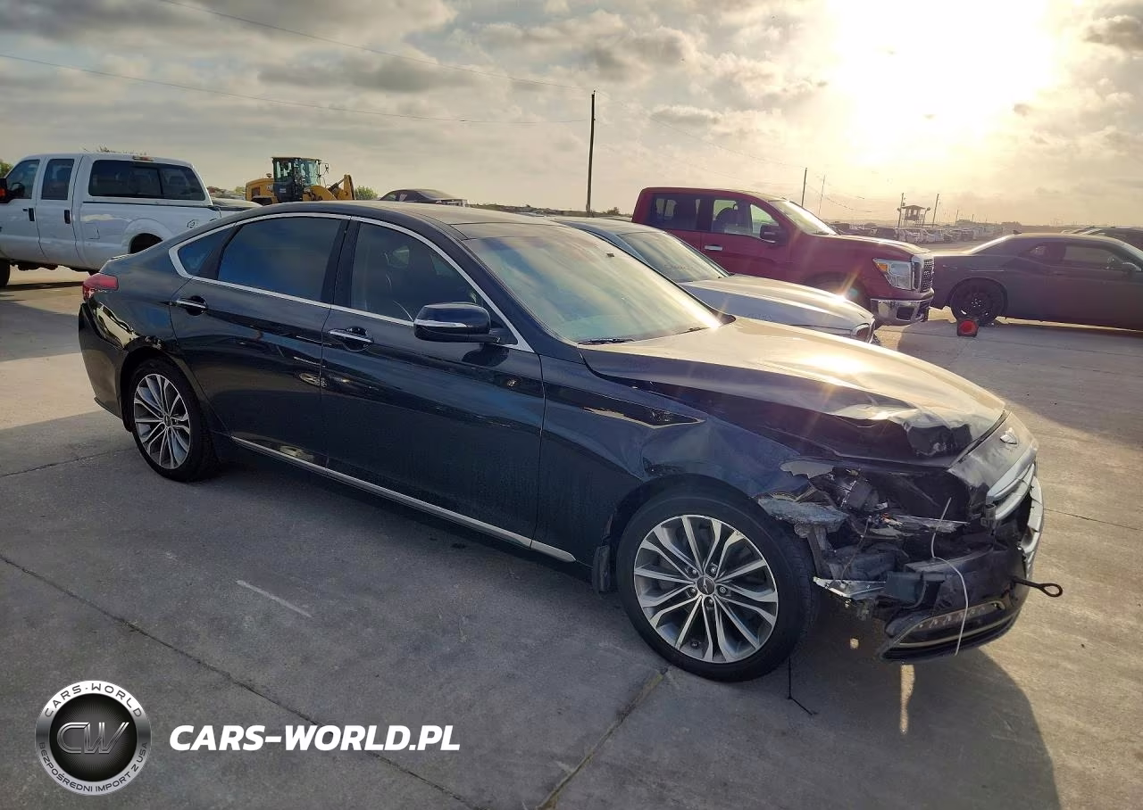 2016 Hyundai Genesis 3.8L VIN:KMHGN4JE2GU112430 - 4
