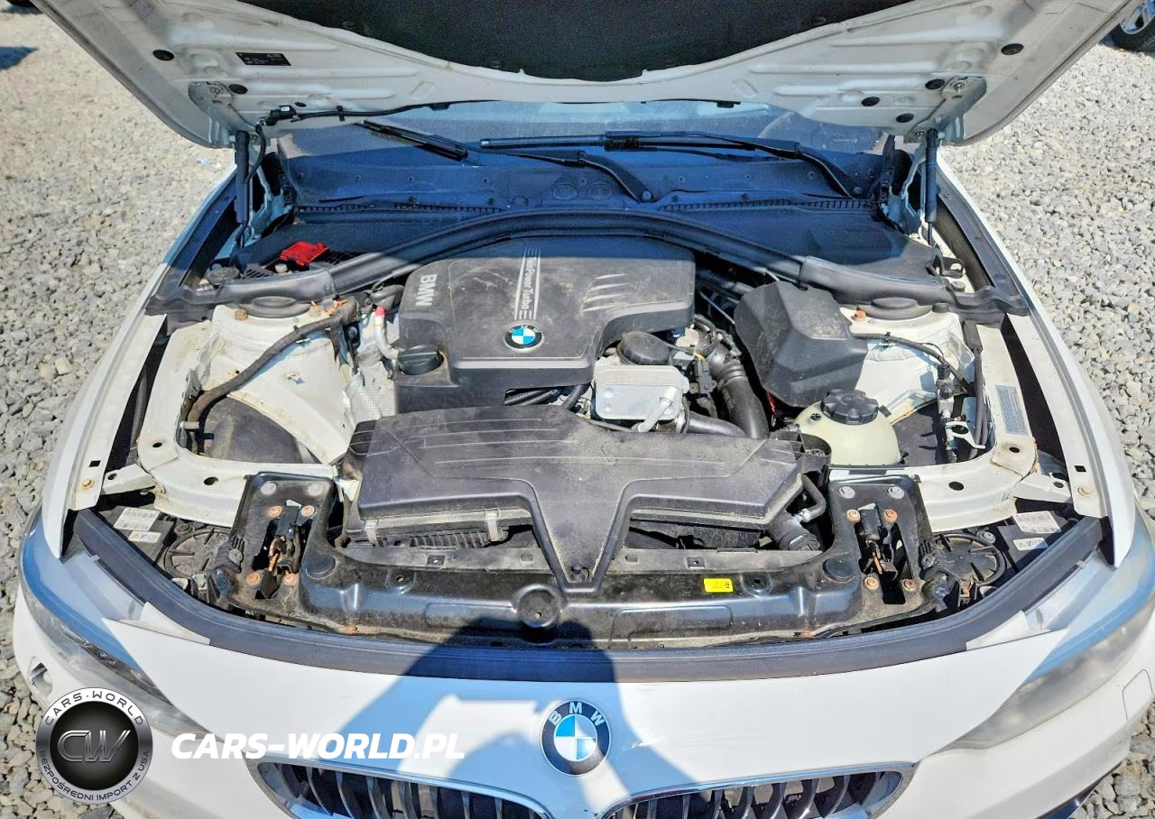 2014 BMW 428 Xi VIN:WBA3N5C50EF716238 - 11
