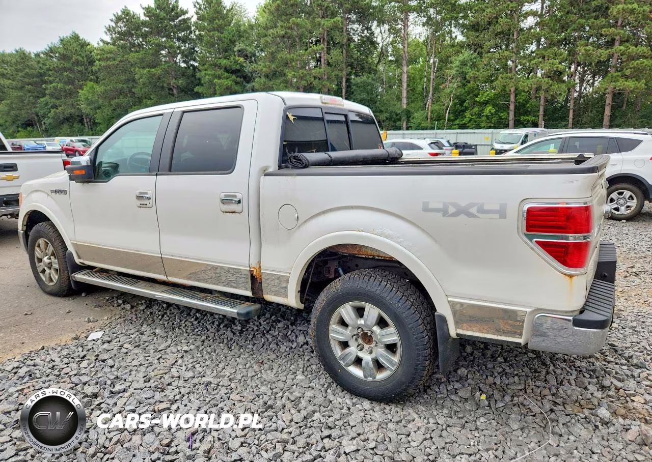 2010 Ford F150 Supercrew VIN:1FTFW1EV5AFB48954 - 2
