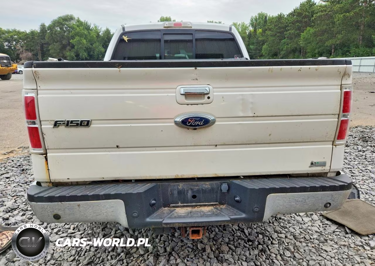2010 Ford F150 Supercrew VIN:1FTFW1EV5AFB48954 - 6