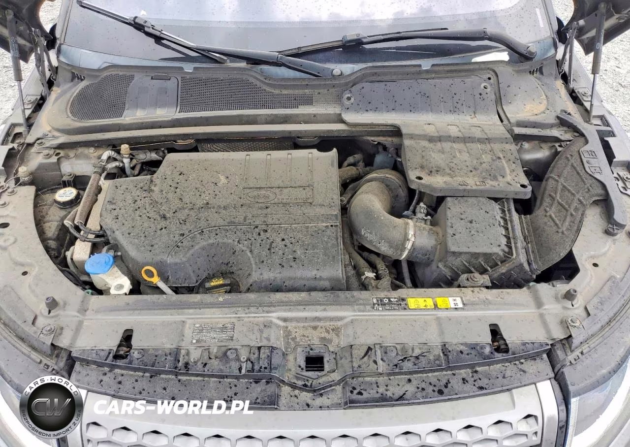 2018 Land Rover Range Rover Evoque Se VIN:SALVP2RX7JH324250 - 12