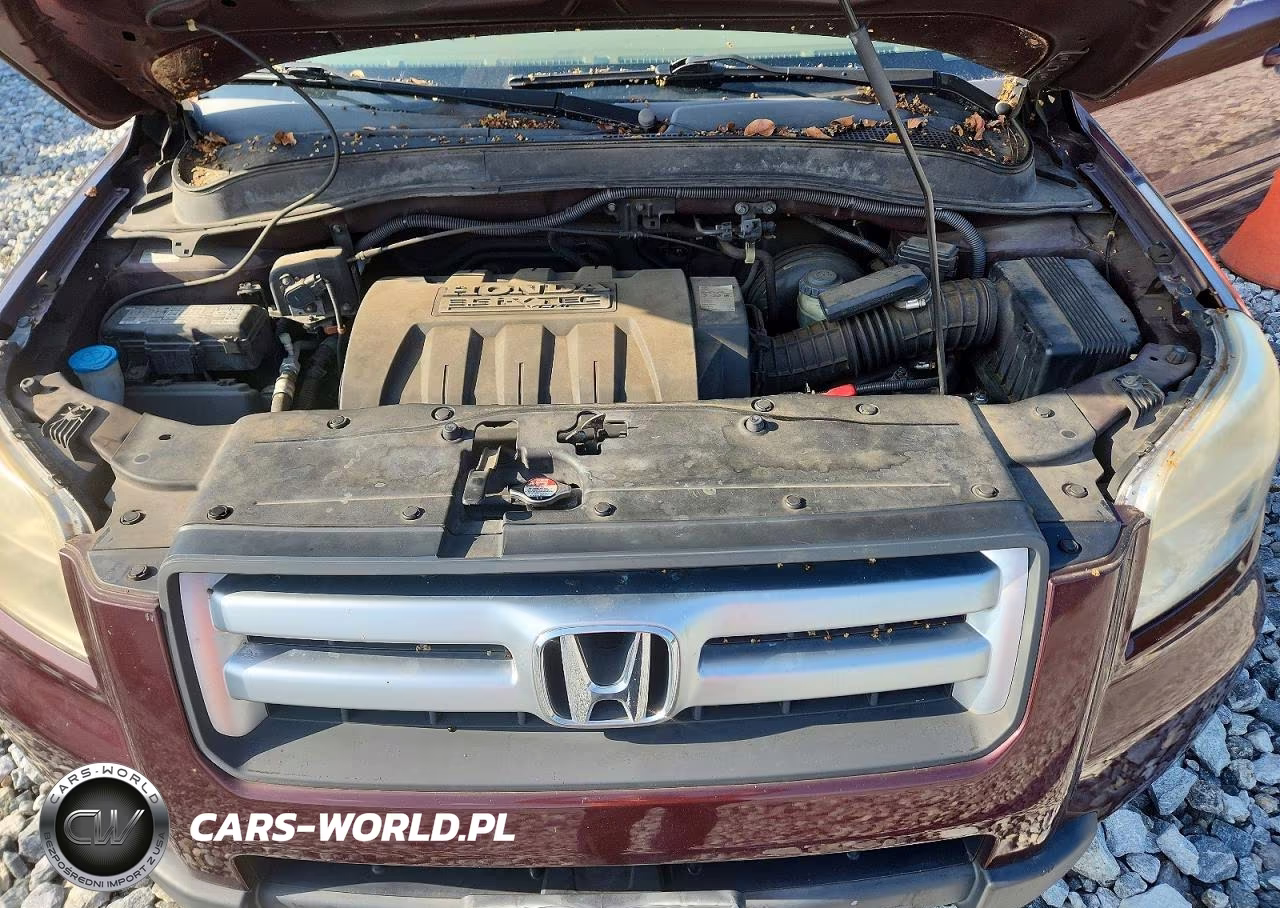 2007 Honda Pilot Exl VIN:5FNYF28667B010632 - 12