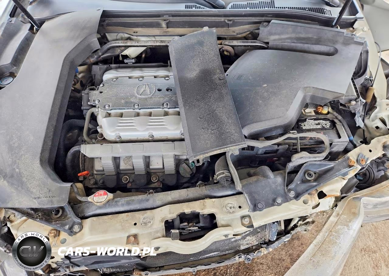 2009 ACURA TL 3.5 (A5) VIN:19UUA86299A013988 - 11