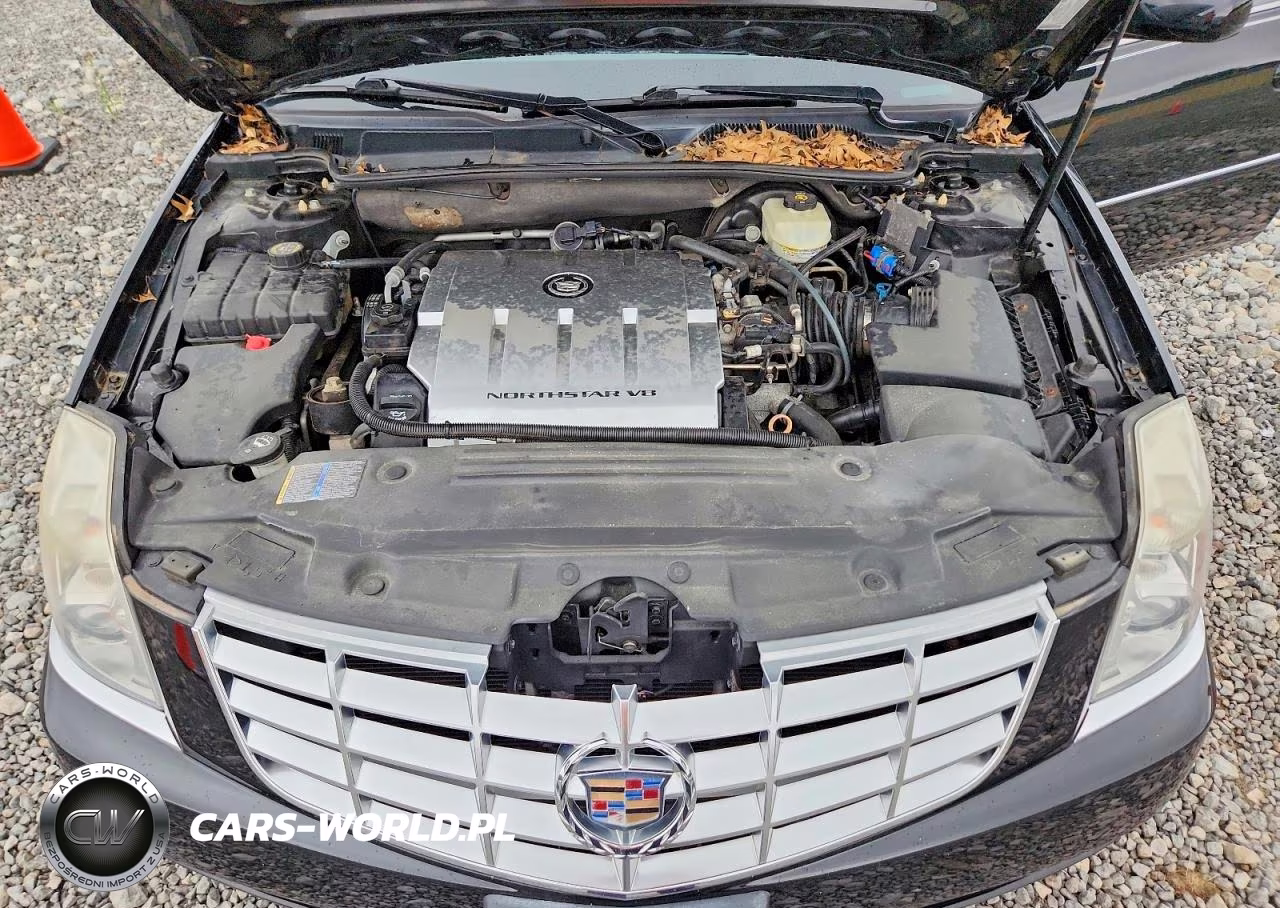 2011 Cadillac Professional Chassis VIN:1GE8K8C63BU500099 - 12