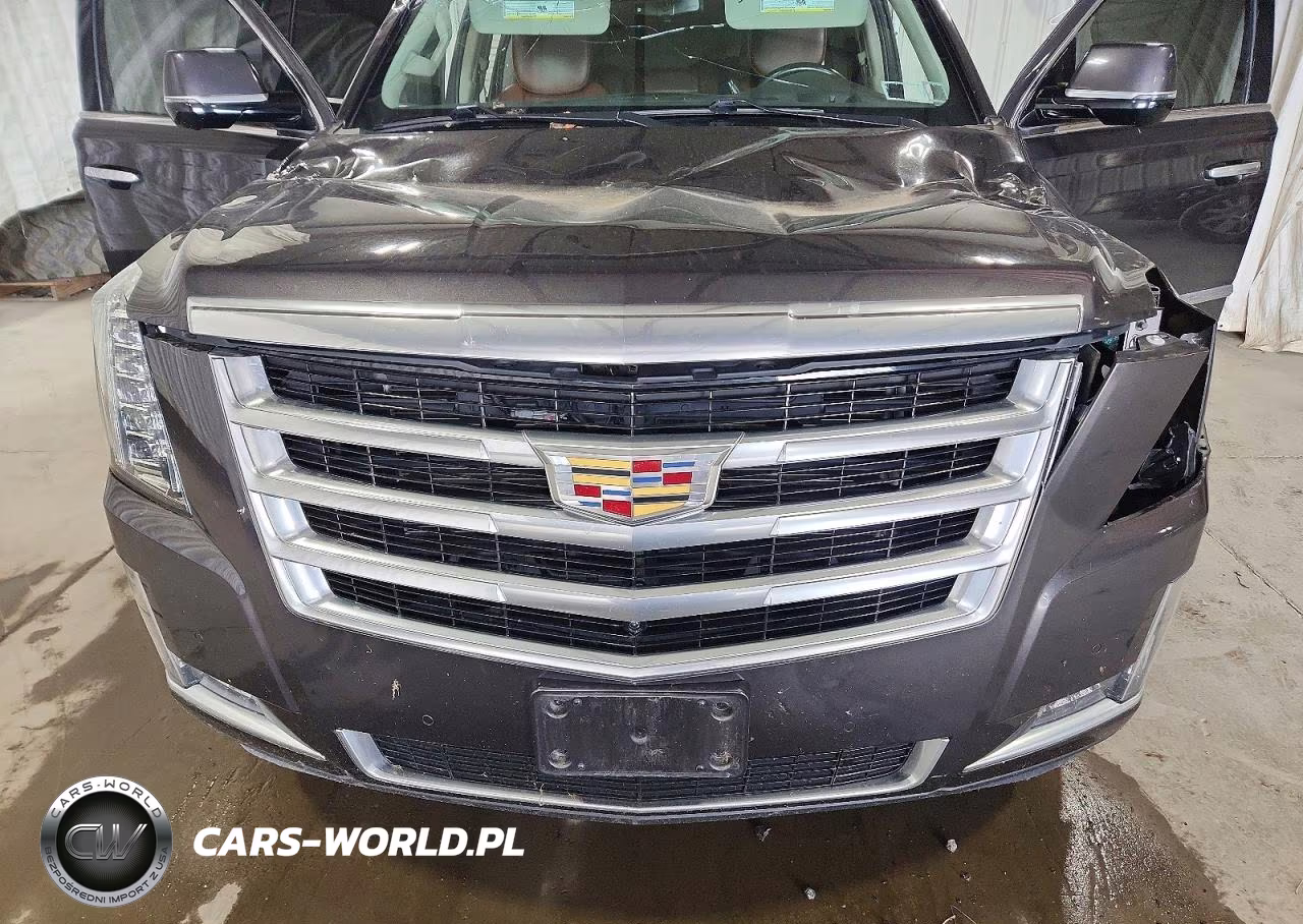 2018 Cadillac Escalade Esv Luxury VIN:1GYS4HKJ6JR108020 - 12
