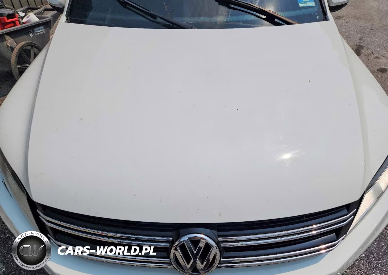 2017 Volkswagen Tiguan Wolfsburg VIN:WVGSV7AX4HW503131 - 12