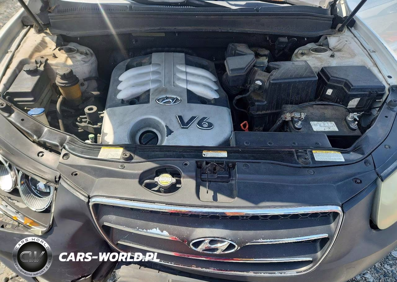 2007 Hyundai Santa Fe Se VIN:5NMSH13E57H047887 - 12