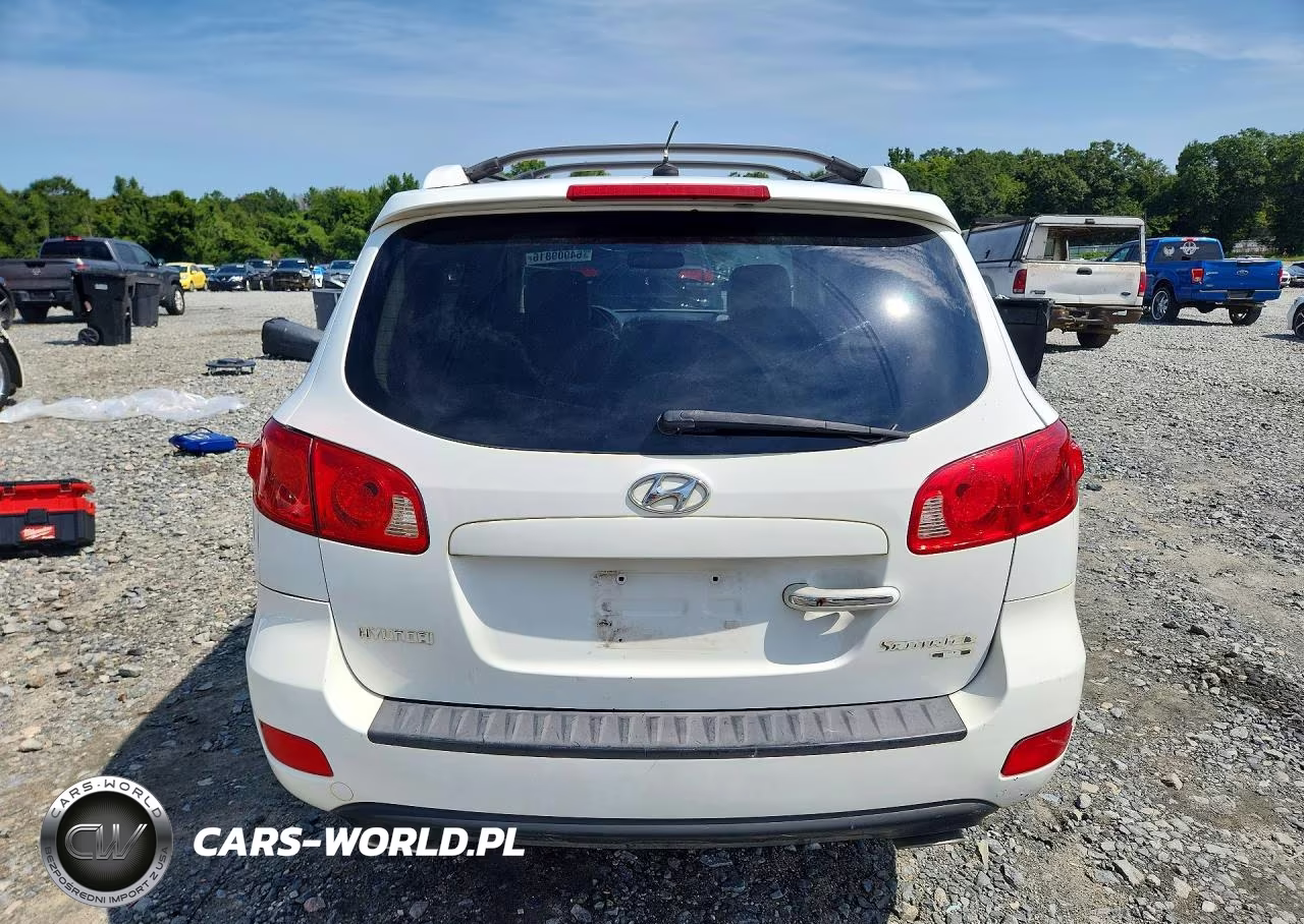 2007 Hyundai Santa Fe Se VIN:5NMSH13E57H047887 - 6