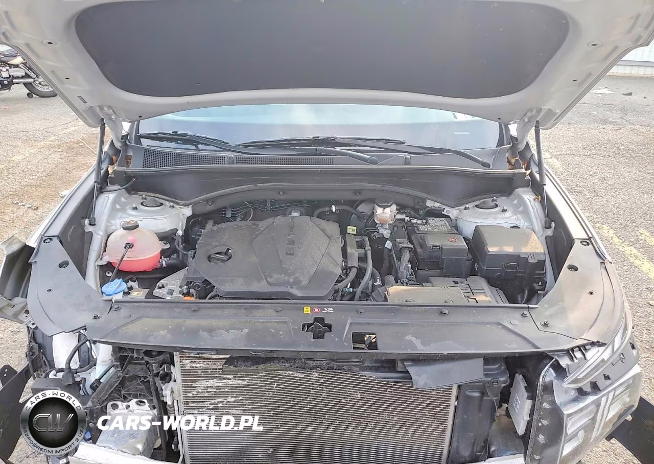 2021 Hyundai Santa Fe Sel VIN:5NMS3DAJ3MH342031 - 12