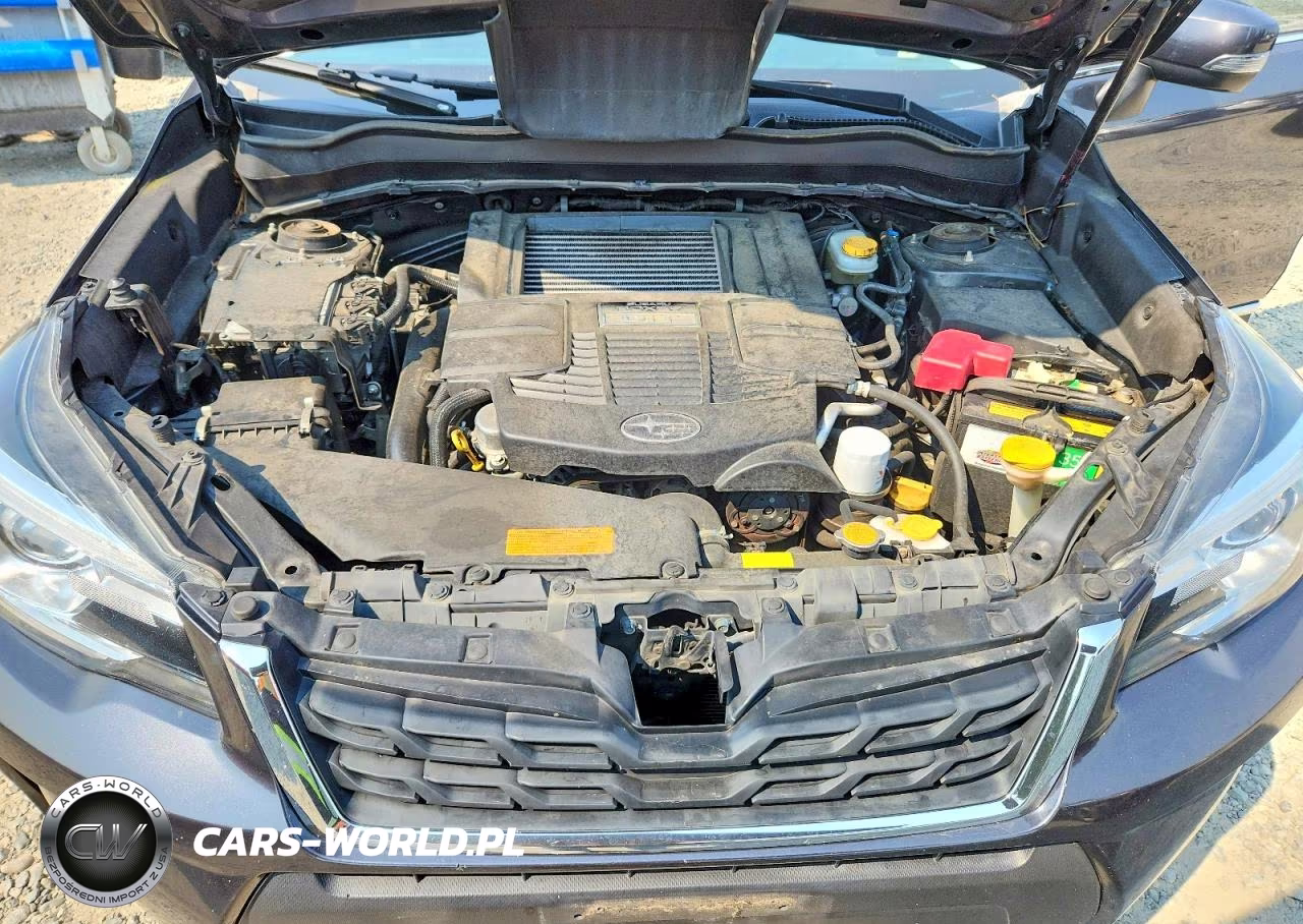 2017 Subaru Forester 2.0Xt Touring VIN:JF2SJGWC0HH560566 - 12
