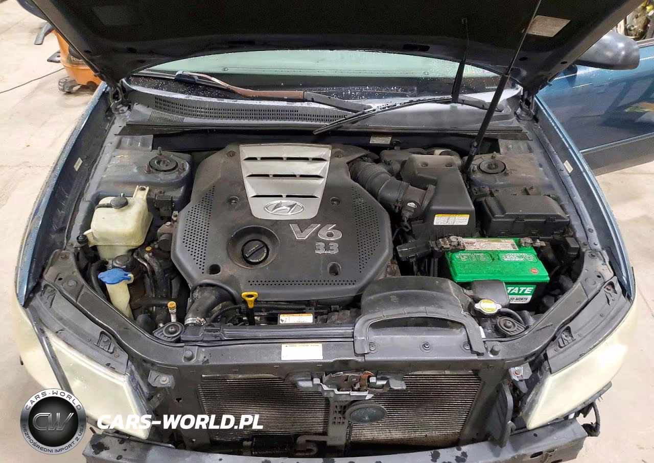 2007 Hyundai Sonata Se VIN:5NPEU46F87H219959 - 11