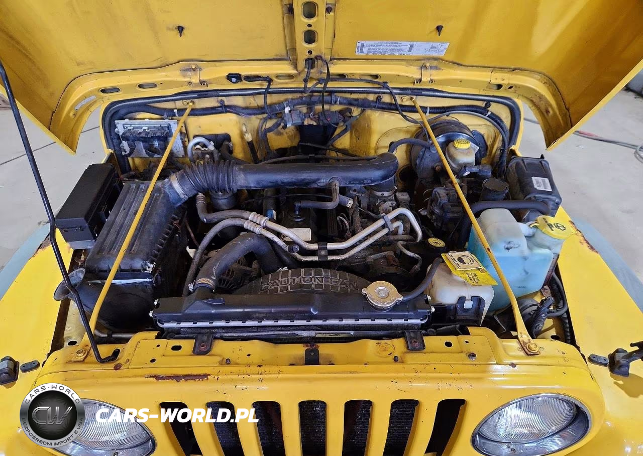 2002 Jeep Wrangler - Tj Sport VIN:1J4FA49S12P763846 - 11