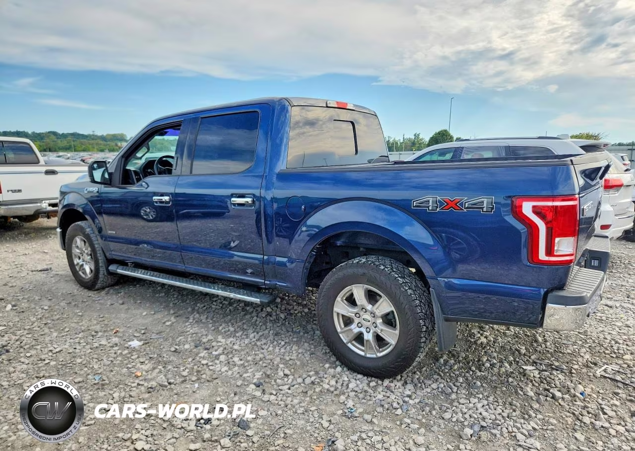 2017 Ford F150 Supercrew VIN:1FTEW1EP9HKE04849 - 2