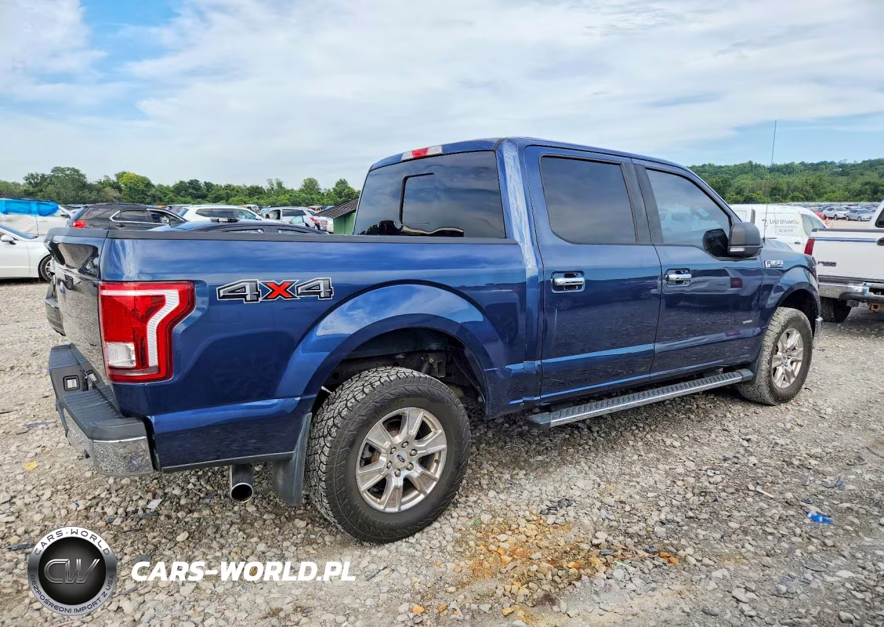 2017 Ford F150 Supercrew VIN:1FTEW1EP9HKE04849 - 3