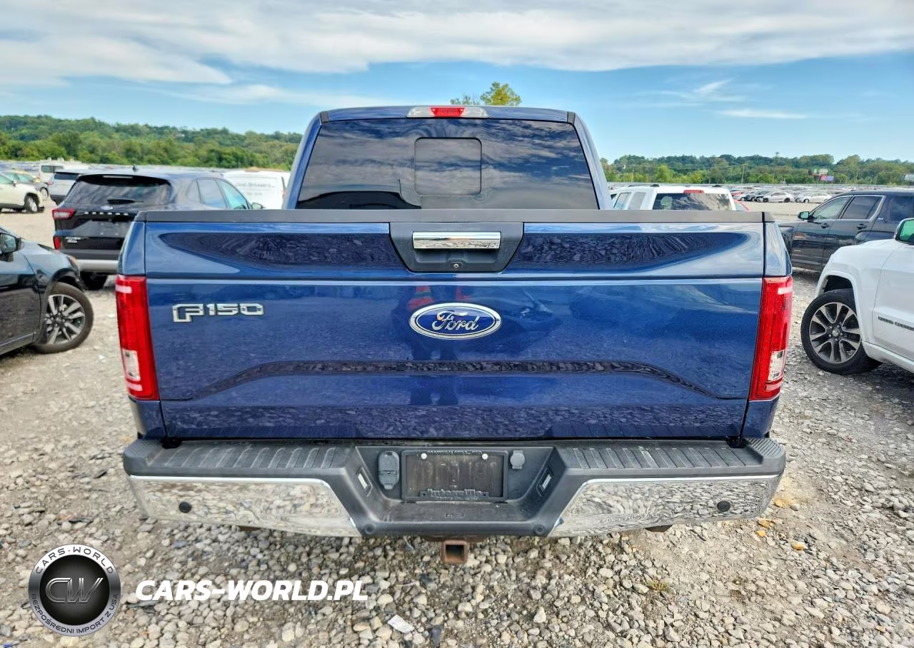 2017 Ford F150 Supercrew VIN:1FTEW1EP9HKE04849 - 6