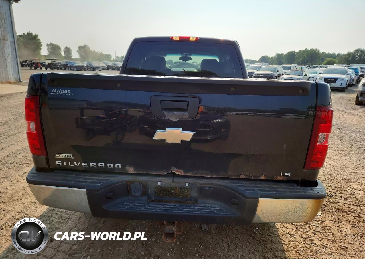 2010 Chevrolet Silverado C1500 Ls VIN:1GCSCREA7AZ110921 - 6
