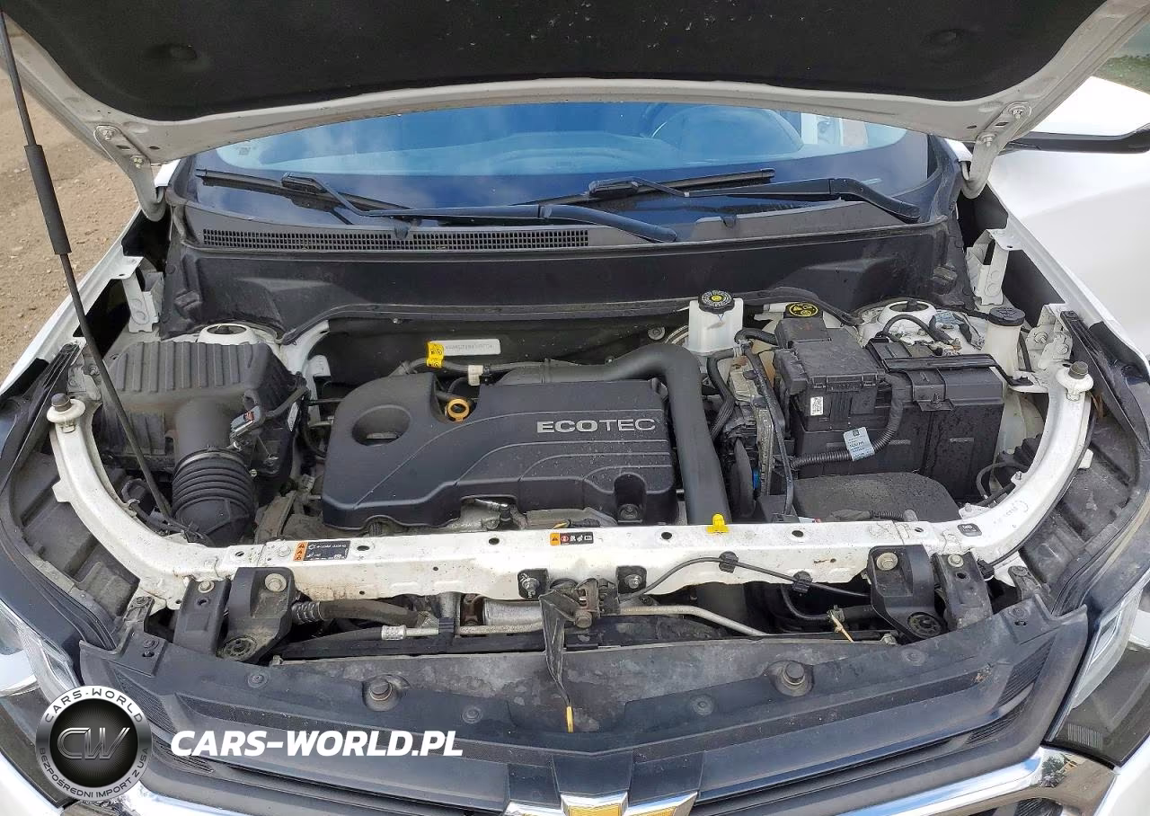 2019 Chevrolet Equinox Lt VIN:3GNAXJEVXKL339713 - 12