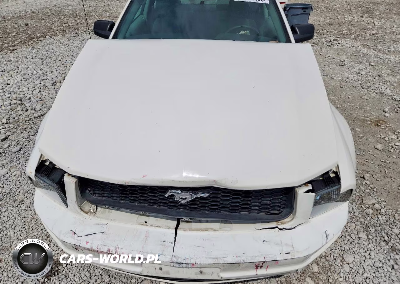 2007 Ford Mustang VIN:1ZVFT80N875340924 - 11