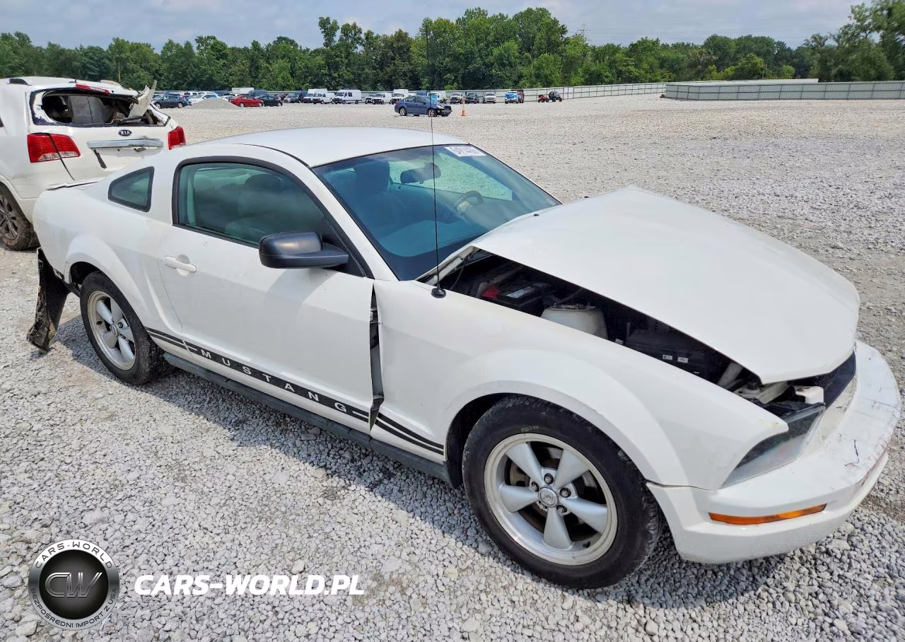 2007 Ford Mustang VIN:1ZVFT80N875340924 - 4