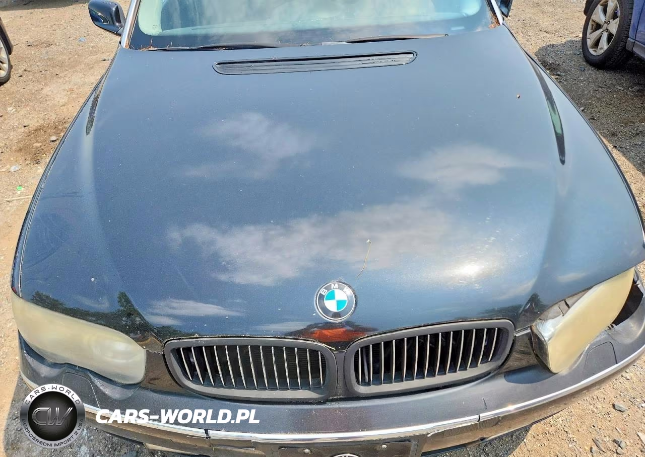2003 BMW 745 Li VIN:WBAGN63453DS43895 - 11