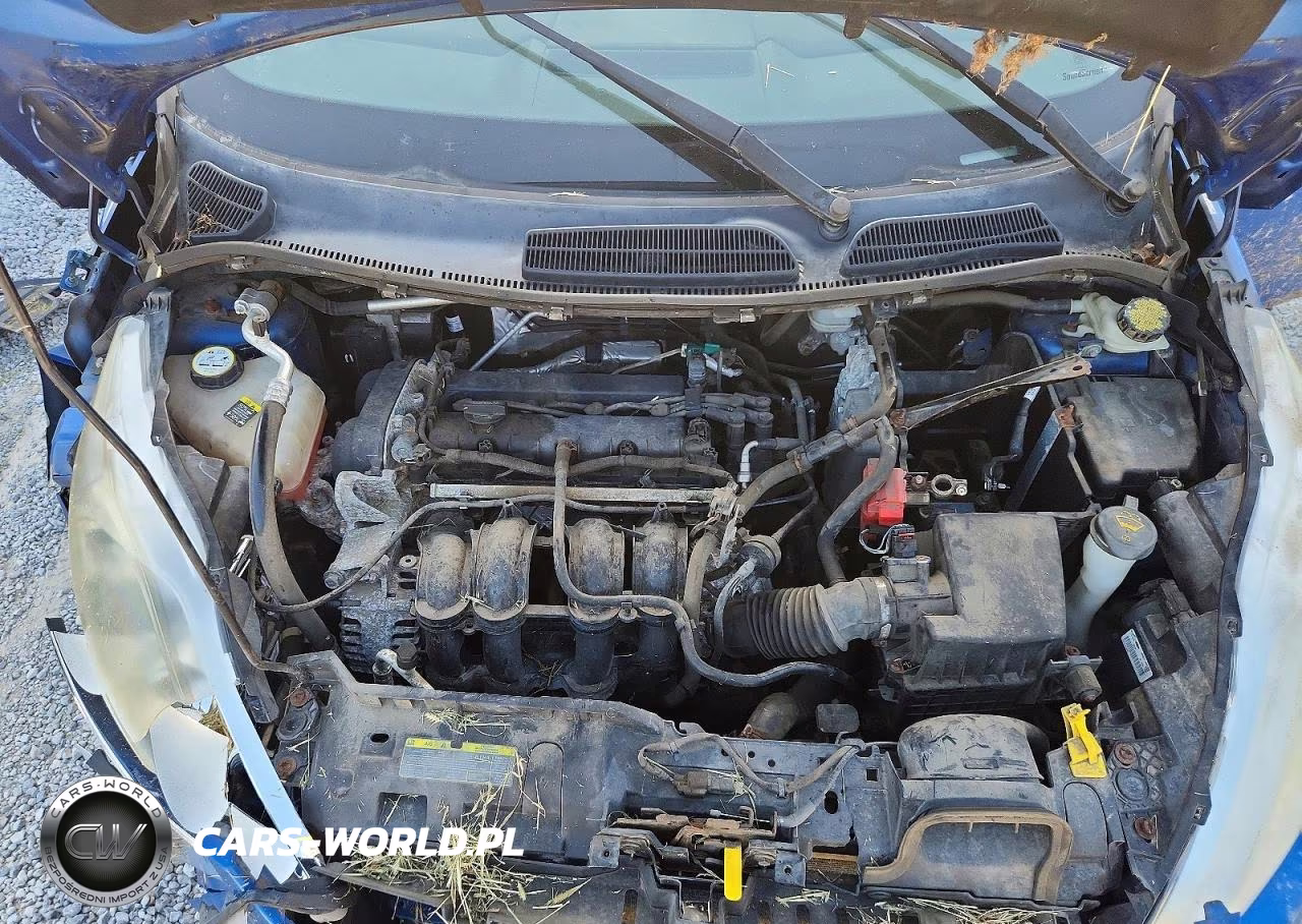 2011 Ford Fiesta Se VIN:3FADP4BJ3BM227599 - 11