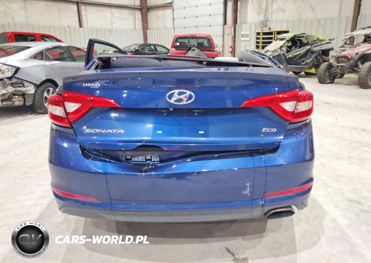 2015 Hyundai Sonata Eco VIN:5NPE24AA5FH112612 - 6
