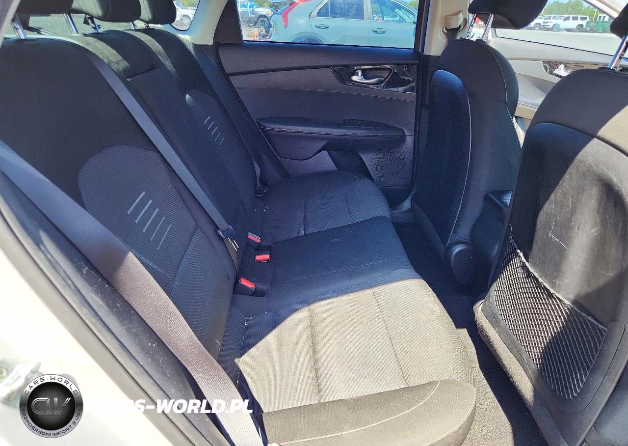 2019 Kia Forte S VIN:3KPF34AD1KE041533 - 10