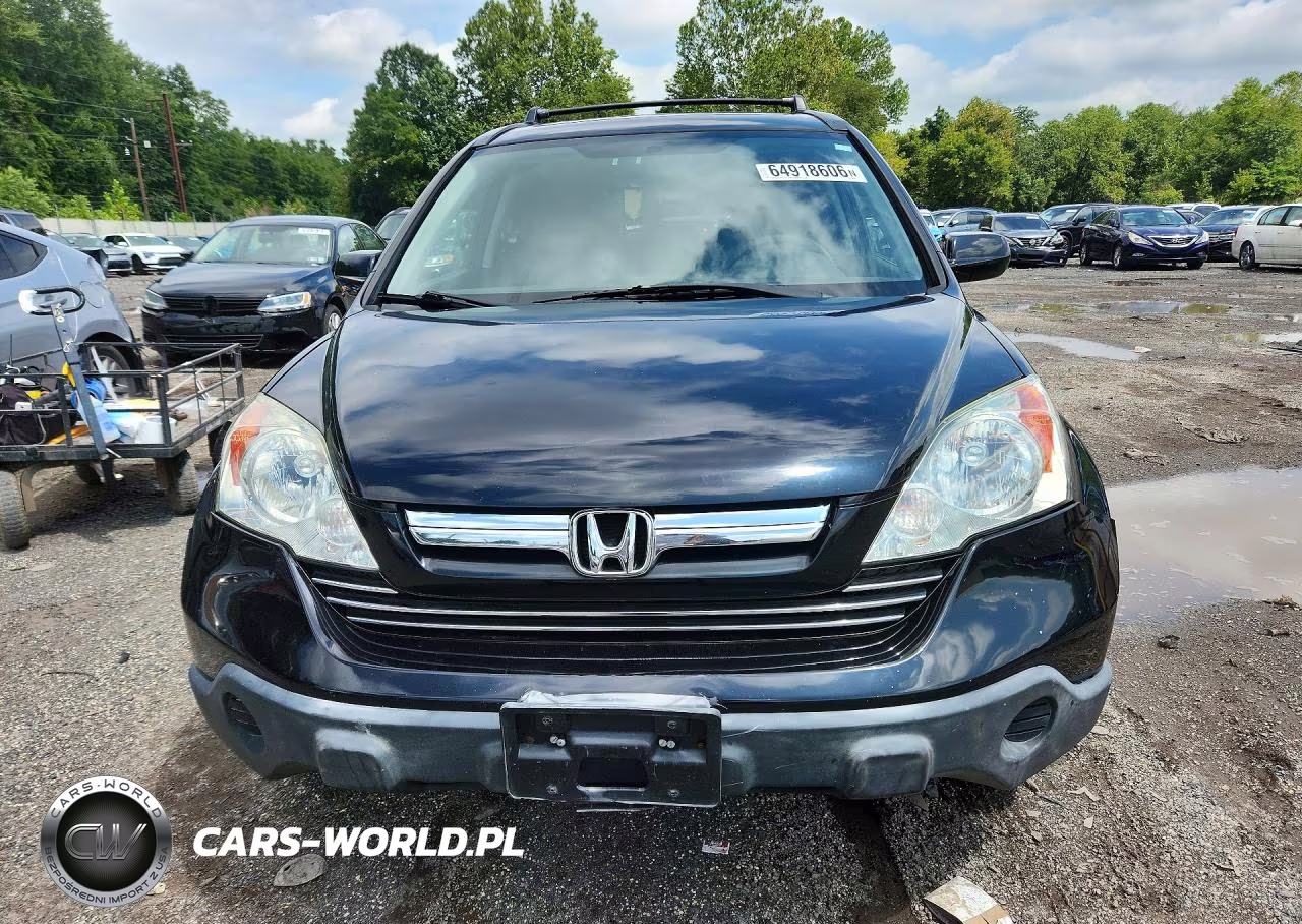 2007 Honda Cr-V Exl VIN:5J6RE48787L006049 - 5