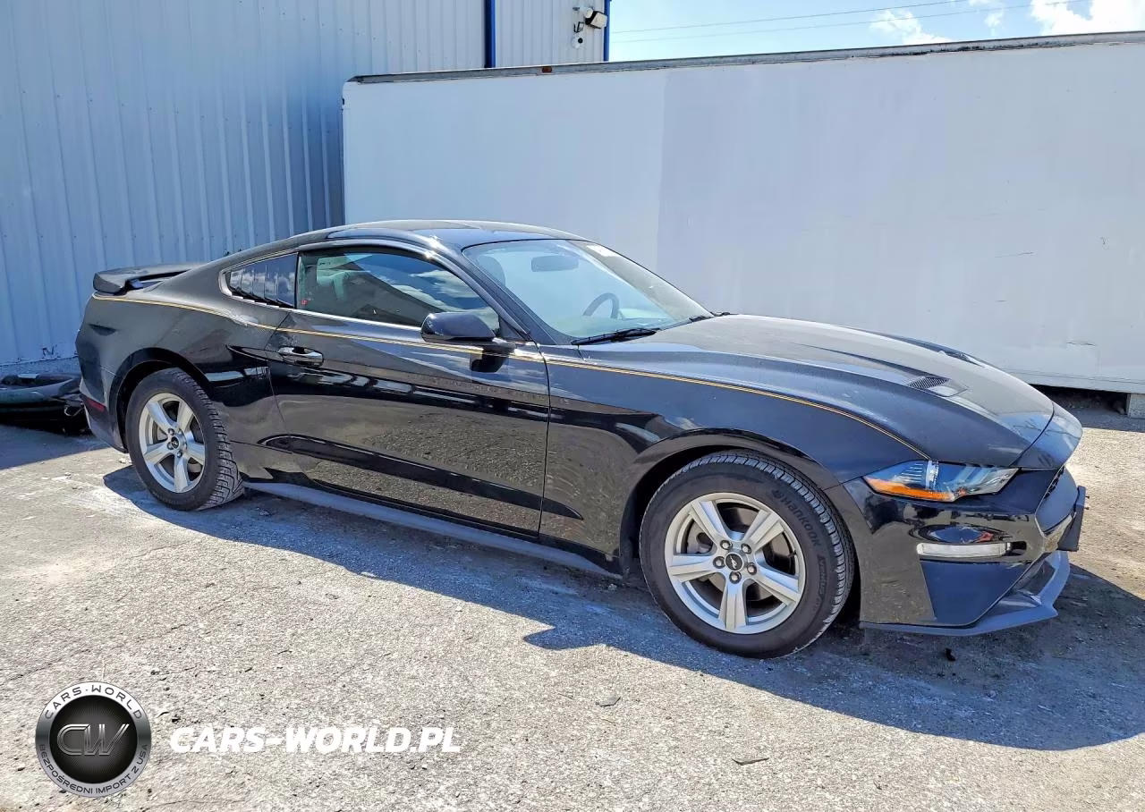 2019 Ford Mustang VIN:1FA6P8TH8K5180412 - 4