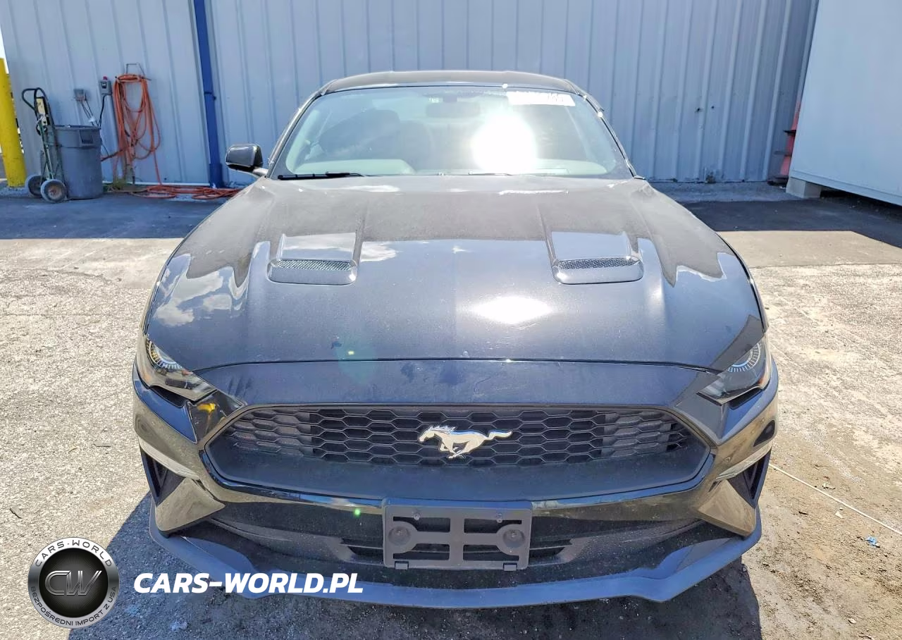 2019 Ford Mustang VIN:1FA6P8TH8K5180412 - 5
