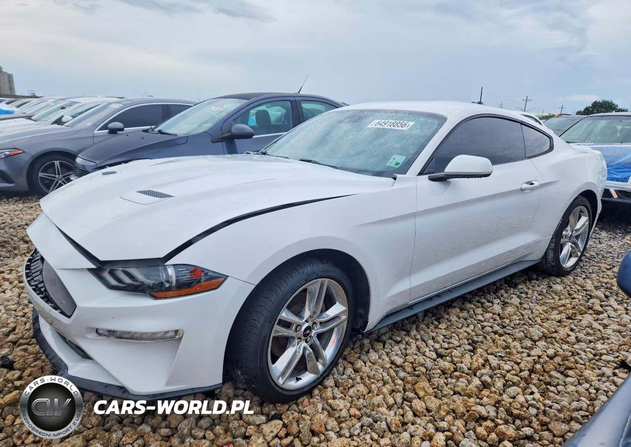 2021 Ford Mustang VIN:1FA6P8TH0M5101057 - 1
