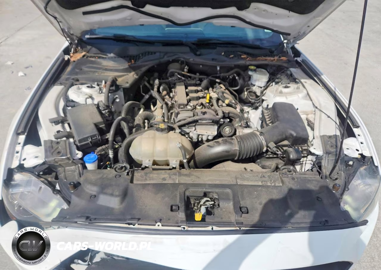 2021 Ford Mustang VIN:1FA6P8TH0M5101057 - 11
