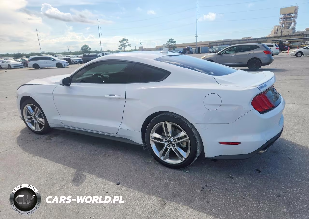 2021 Ford Mustang VIN:1FA6P8TH0M5101057 - 2