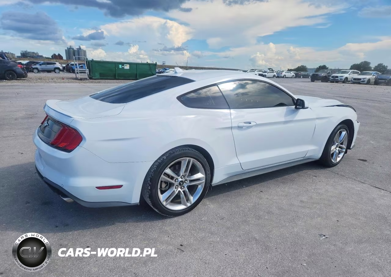 2021 Ford Mustang VIN:1FA6P8TH0M5101057 - 3