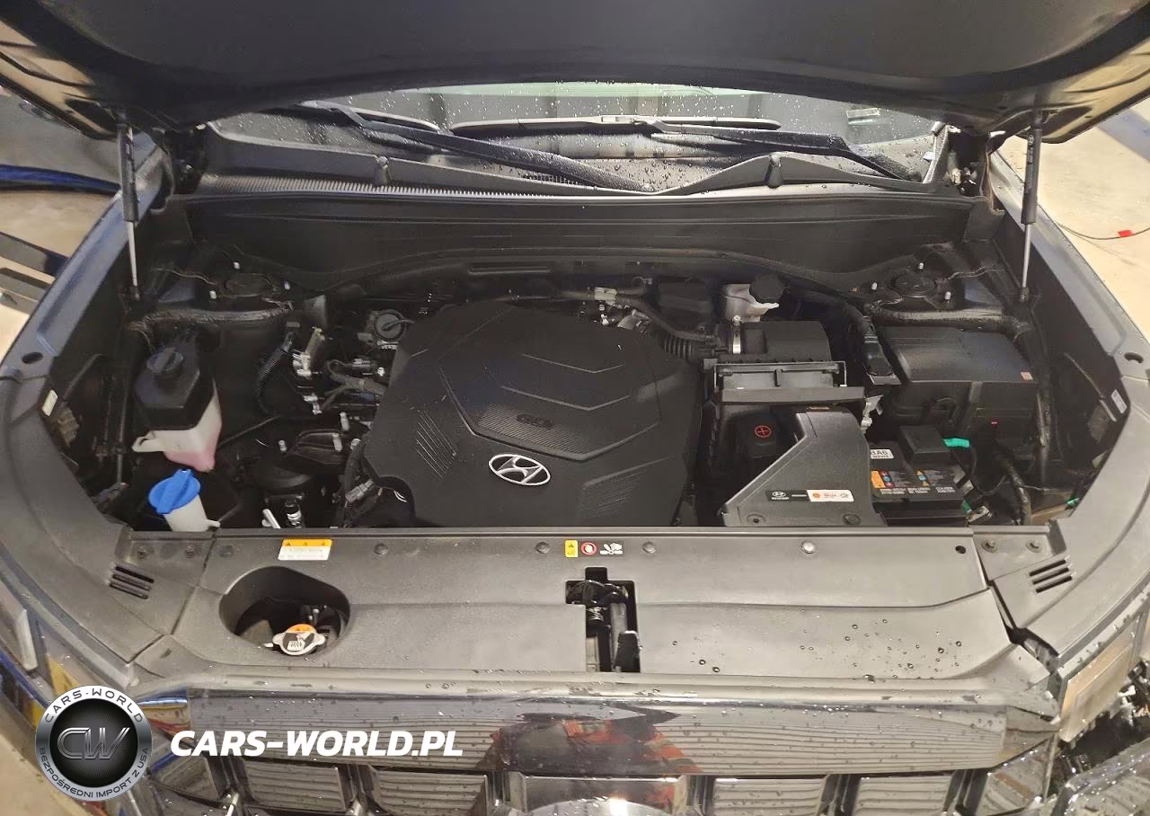 2024 Hyundai Palisade Xrt VIN:KM8R34GE2RU753036 - 12