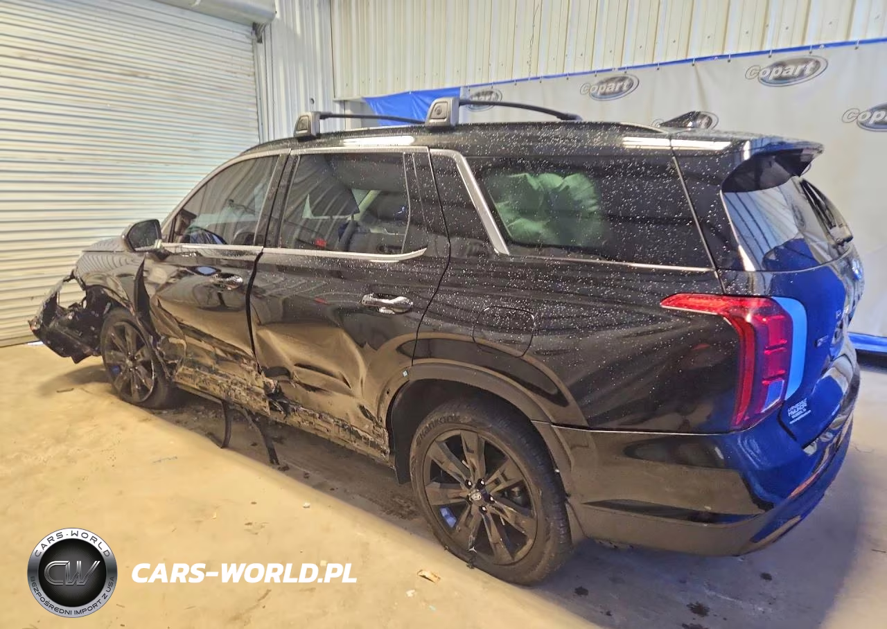 2024 Hyundai Palisade Xrt VIN:KM8R34GE2RU753036 - 2