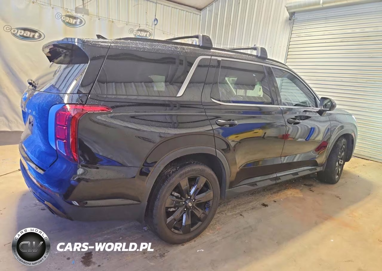 2024 Hyundai Palisade Xrt VIN:KM8R34GE2RU753036 - 3