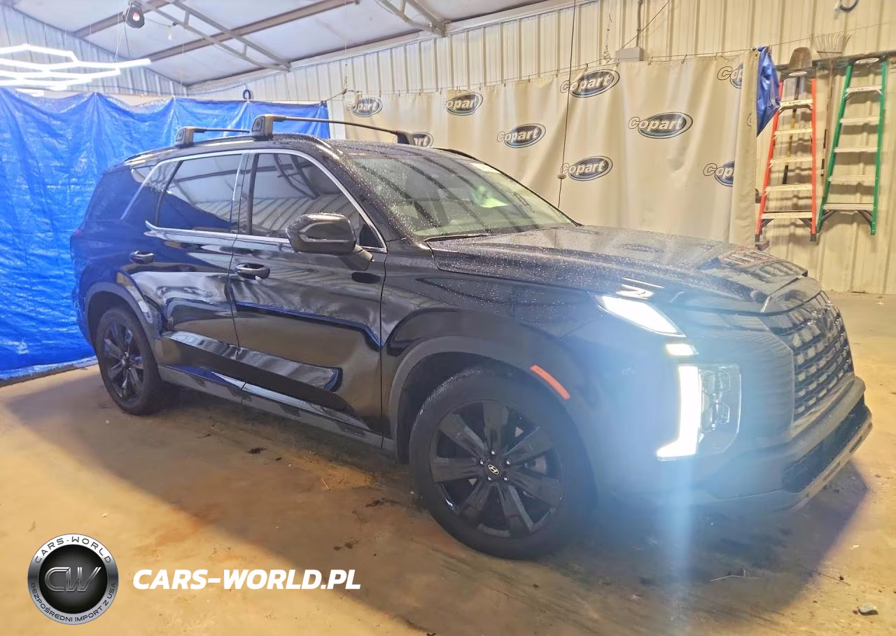 2024 Hyundai Palisade Xrt VIN:KM8R34GE2RU753036 - 4