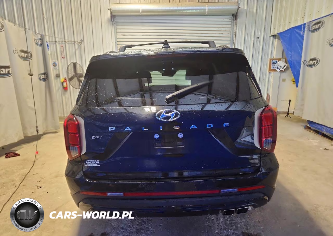 2024 Hyundai Palisade Xrt VIN:KM8R34GE2RU753036 - 6