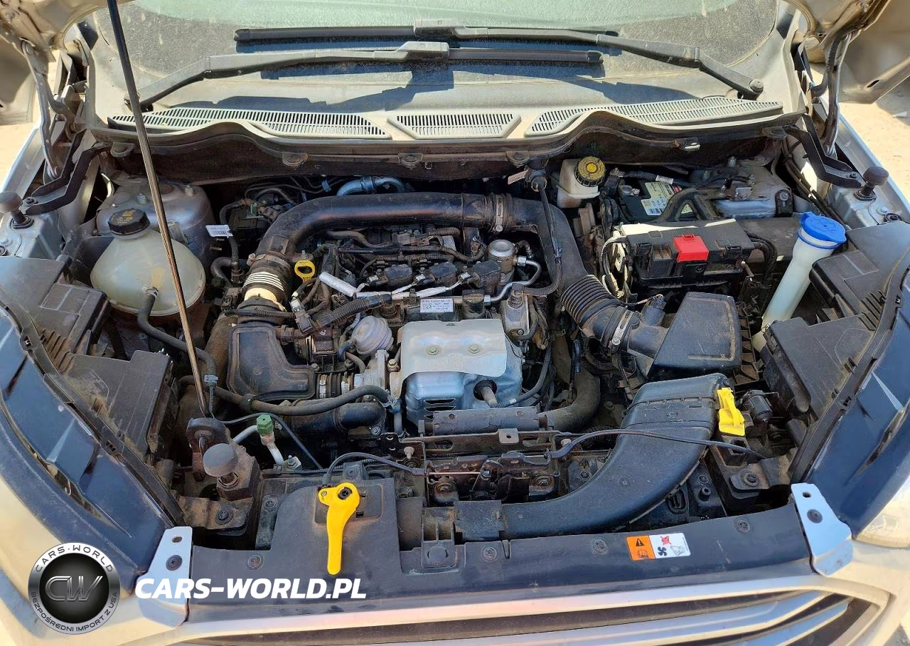 2019 Ford Ecosport Se VIN:MAJ3S2GE4KC298919 - 12
