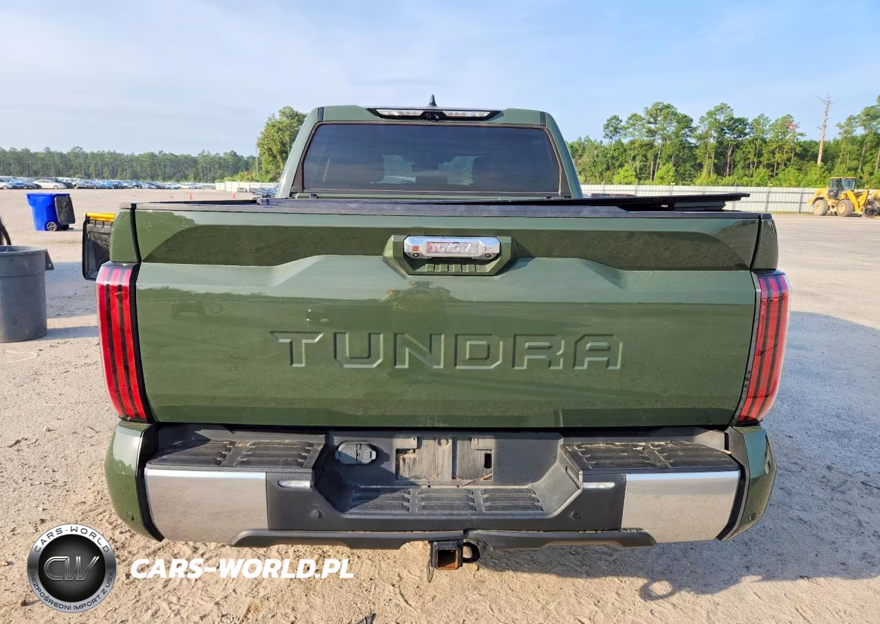 2022 Toyota Tundra Crewmax Limited VIN:5TFJA5AB1NX017287 - 6